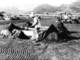 塩田で塩を作っている様子の白黒写真