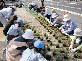国道沿いの花壇に沢山の人々が花を植えている様子の写真