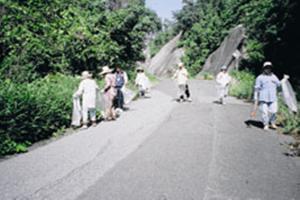 県道を人々が掃除している写真