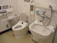 水道口やシャワーが設備されている流し台の奥に洋式の水洗トイレが見える写真