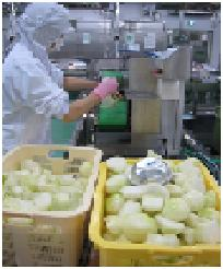 スライサーを使ってたまねぎを切っている給食調理員の写真