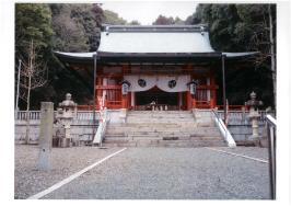 後ろが木々に囲まれた神社の本殿の写真