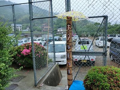 ホタルまつりと書かれた竹灯りに傘がかけられている写真