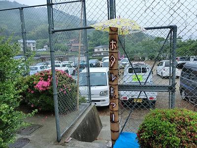 ホタルまつりと書かれた竹灯りに傘がかけられている写真