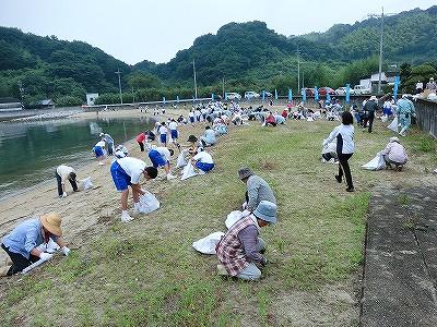 海岸の丘の草むしりをする人たちの写真