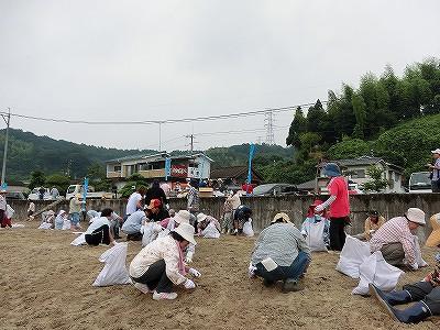 砂浜を清掃する人たちの写真