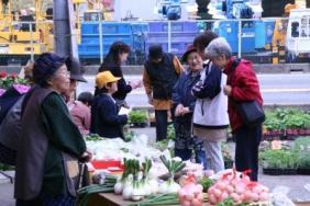 朝市に並んでいる野菜を品定めしているお客さんの様子の写真