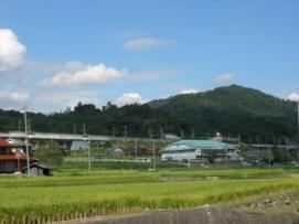 田万里町の田園風景の様子の写真