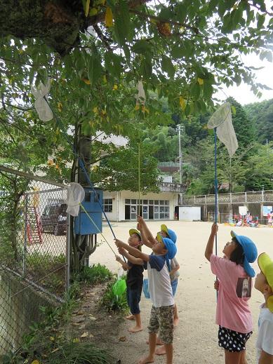 子供達が虫取り網を持って木の上の虫を取ろうとしている写真