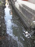 生活排水がそのまま流されている水路の写真1