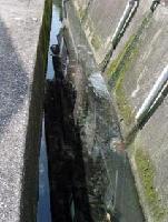 生活排水がそのまま流されている水路の写真2