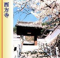 西方寺 晴れ晴れとした空に桜とともにうつる西方寺の入口の写真