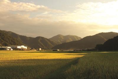 空から日差しが降り注ぐ野原の風景の写真