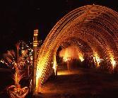 竹を組んで作られたアーチが照明に照らされている様子の写真